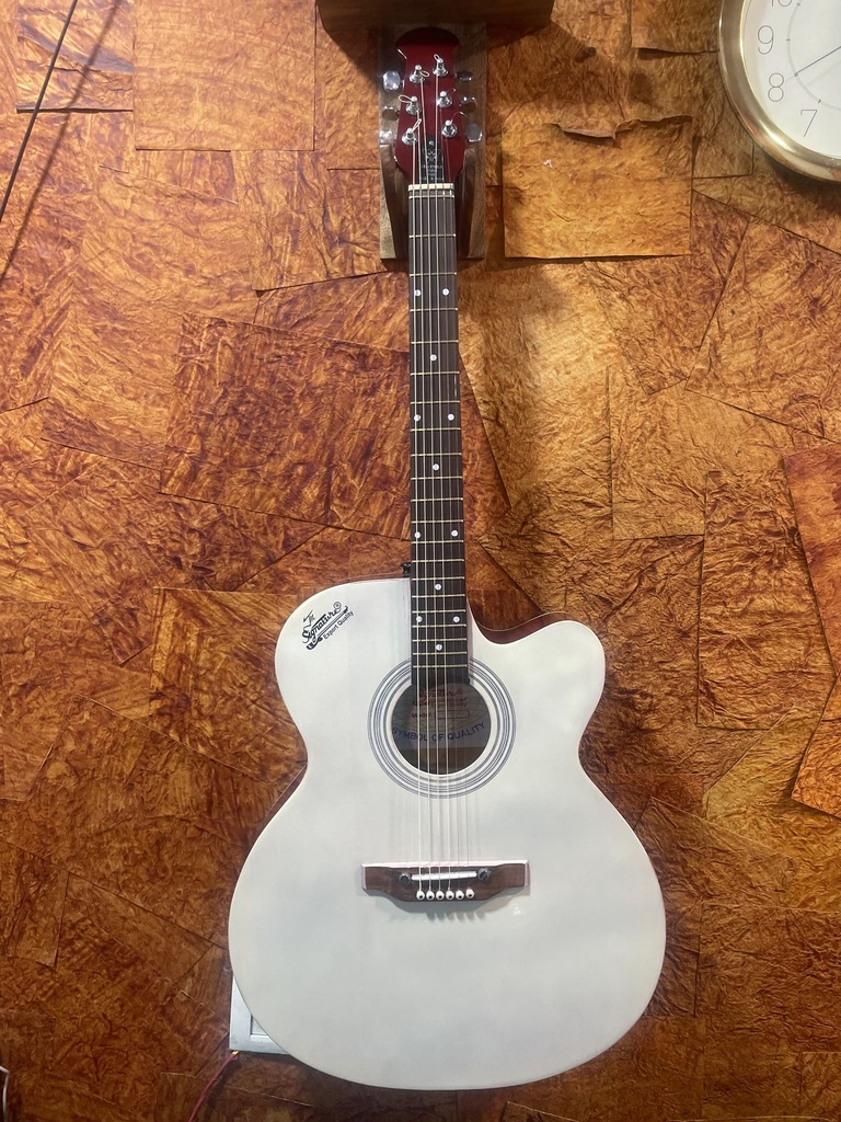 Signature Guitar (White)