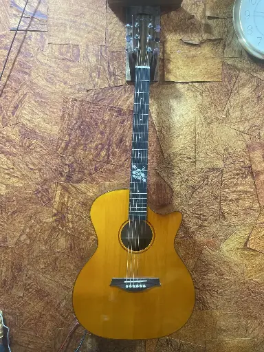 Laviere Guitar