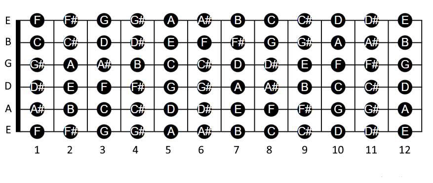 Fretboard notes
